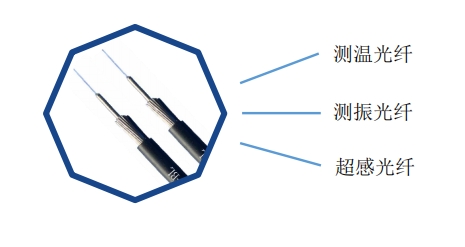 光纖.png